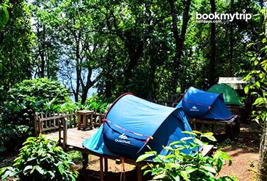 Bookmytripholidays | Camp Top Munnar ,Munnar  | Best Accommodation packages